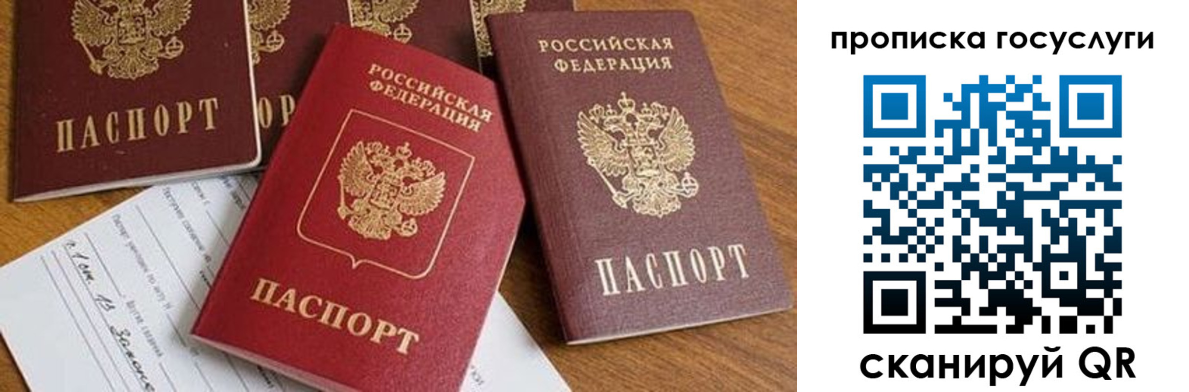 прописка ребенка в Зеленогорске