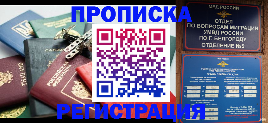 временная регистрация недорого в Зеленогорске